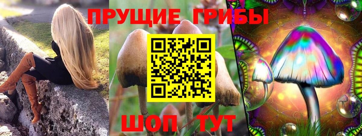 Псилоцибиновые грибы мухоморы Пугачёв