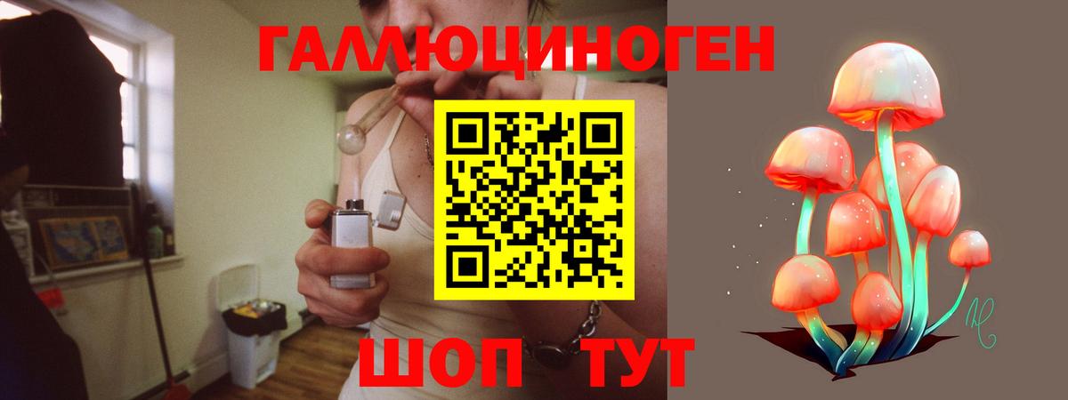 Пугачёв  Псилоцибиновые грибы Psilocybine cubensis  Вход с VPN 